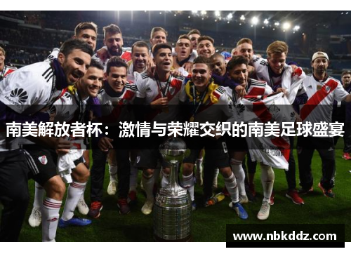 南美解放者杯：激情与荣耀交织的南美足球盛宴