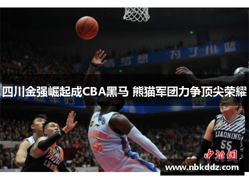 四川金强崛起成CBA黑马 熊猫军团力争顶尖荣耀